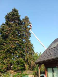 Photo de galerie - élagage, etetage, abbatage avec nacelle 