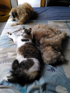 Photo de galerie - Le repos  