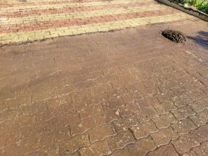 Photo de galerie - Nettoyage cour pavé autoblocant  ( pendant )