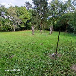 Photo de galerie - Tonte terrain 1500m2
