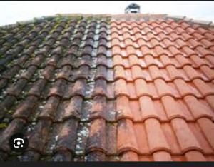 Photo de galerie - Couverture - Toiture