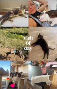 Photo de galerie - Visite du jour - mix 