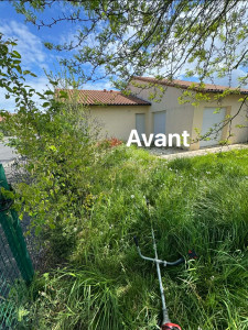 Photo de galerie - Débroussaillage 