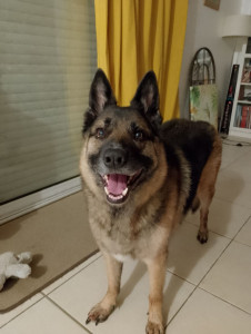 Photo de galerie - Mako