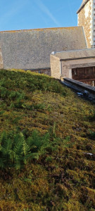 Photo de galerie - Démoussage sur toit fibro ciment avant 