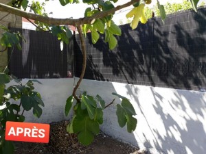 Photo de galerie - Mur de clôture après reprise des joints, peinture, changement des brisés vues 