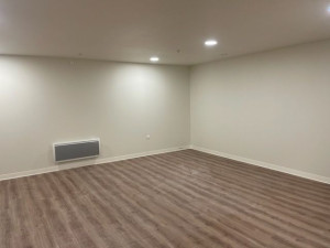 Photo de galerie - Peinture et Sol lames PVC colé 