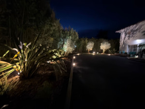 Photo de galerie - Paysagiste - Aménagement du jardin