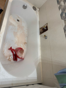 Photo de galerie - Recherche De Fuite et Réparations Fuite 