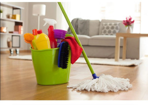 Photo de galerie - Je suis disponible pour travailler le matin 