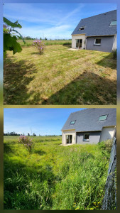 Photo de galerie - Tonte de pelouse - Débroussaillage