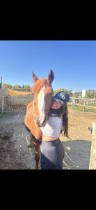 Photo de galerie - Amoureuse des chevaux 