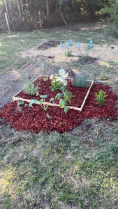 Photo de galerie - Paysagiste - Aménagement du jardin