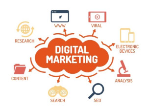 Photo de galerie - Webmarketing