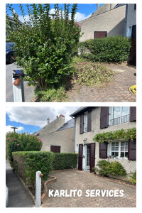 Photo de galerie - Taille de haie ✅