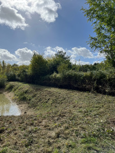 Photo de galerie - Tonte de pelouse - Débroussaillage