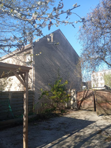 Photo de galerie - Elagage et coupe d'arbres