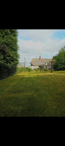 Photo de galerie - Tonte de pelouse 