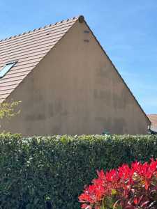 Photo de galerie - Nettoyage de pignon 