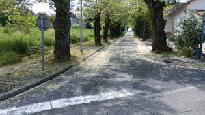 Photo de galerie - Entretien des abords de voirie