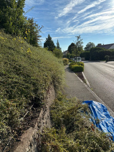 Photo de galerie - Taille de haies et d'arbustes