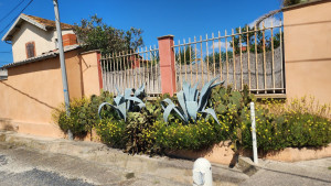 Photo de galerie - Paysagiste - Aménagement du jardin