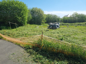 Photo de galerie - Débroussailleuse 
