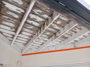 Photo de galerie - Plafond