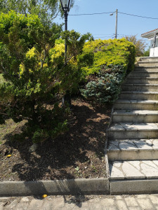 Photo de galerie - Désherbage manuelle 