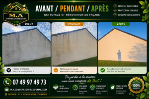Photo de galerie - Nettoyage de facade avec produit professionnel 
