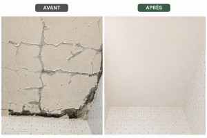 Photo de galerie - Rénovation complète d'un plafond de salle de bain