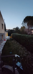 Photo de galerie - Taille de haies et d'arbustes