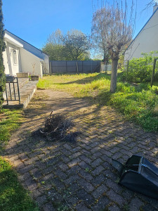 Photo de galerie - Photo avant 06/04/2026