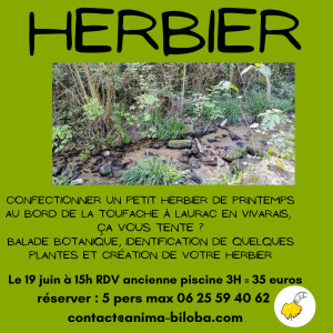 Photo de galerie - Animateur 