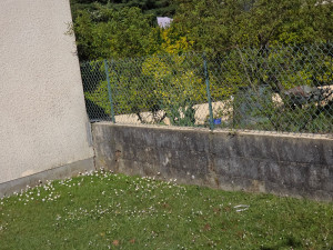 Photo de galerie - Avant