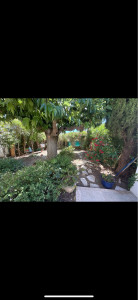 Photo de galerie - Paysagiste - Aménagement du jardin