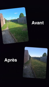 Photo de galerie - Remise en état du terrain 