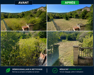 Photo de galerie - Remise au propre d’un terrain fortement envahi par la végétation