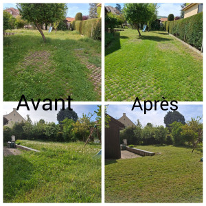 Photo de galerie - Tonte d’une pelouse 
