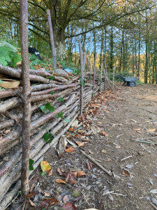 Photo de galerie - Jardinier