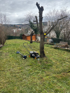 Photo de galerie - Tonte plus débroussaillage