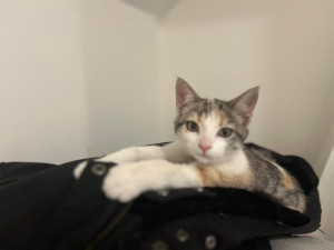 Photo de galerie - Petite Mina en vacances 