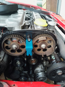 Photo de galerie - Distribution sur Opel Tigra moteur x14xe.