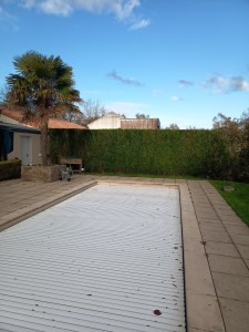 Photo de galerie - Taille de haies et d'arbustes