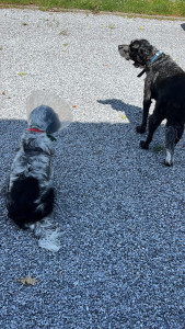 Photo de galerie - On profite du soleil 