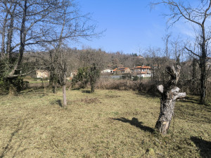 Photo de galerie - Débroussaillage 
tonte