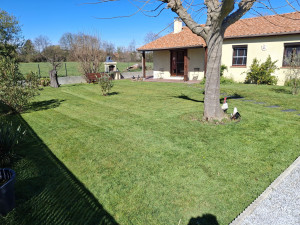 Photo de galerie - Tonte de pelouse - Débroussaillage