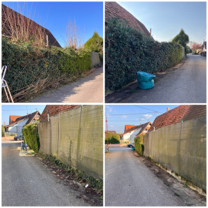 Photo de galerie - Taille de haie & nettoyage