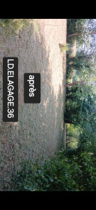 Photo de galerie - Tonte de pelouse - Débroussaillage