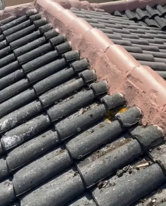 Photo de galerie - Étanchéité d’un faîtage 